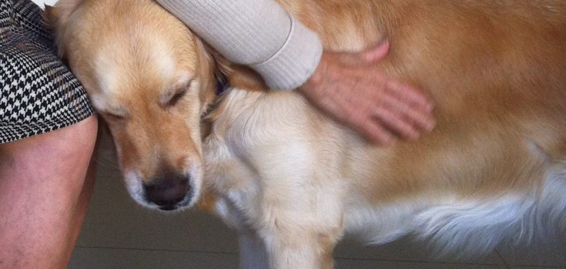 EFECTOS DE LA TERAPIA ASISTIDA CON PERROS SOBRE LOS COMPORTAMIENTOS SOCIALES Y LAS EXPRESIONES EMOCIONALES DE PERSONAS CON DEMENCIA