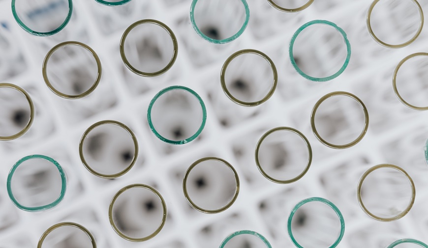 Adaptación y validación de la versión española de la Pain Assessment in Advanced Dementia Scale (Painad) y determinación de biomarcadores del dolor en saliva en personas mayores con deterioro cognitivo con incapacidad de comunicación