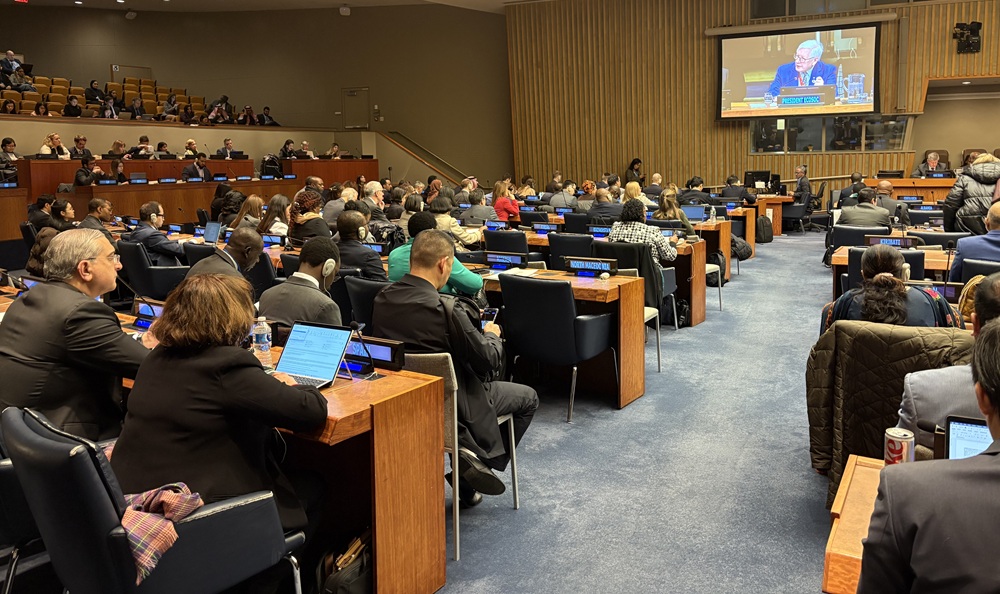 Pleno de la Sesión de la Comisión de Desarrollo Social de la ONU.